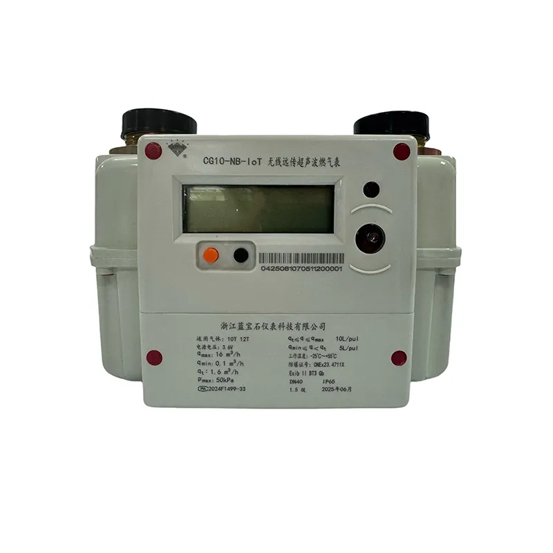 Коммерческий ультразвуковой газовый счетчик – CG40