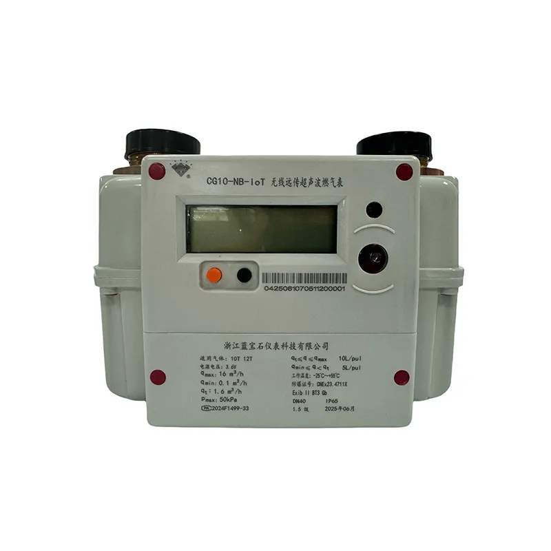 Коммерческий ультразвуковой газовый счетчик – CG6