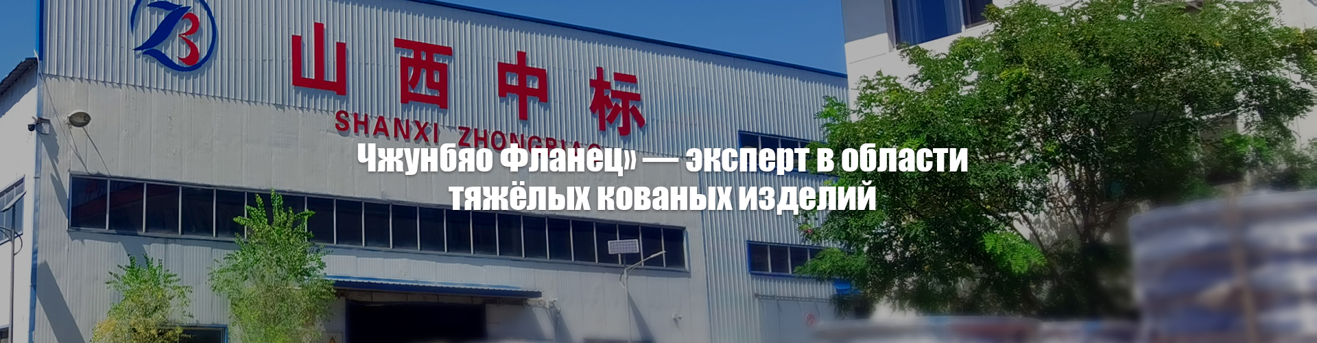 Прецизионное кольцо