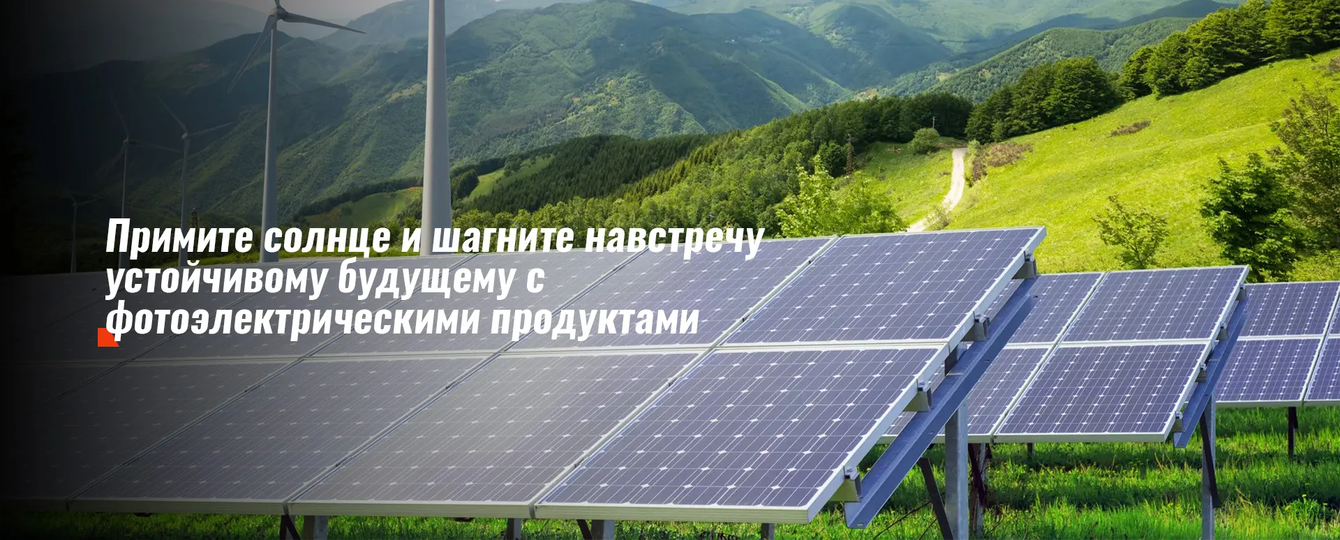 Оцинкованная стальная лента-3