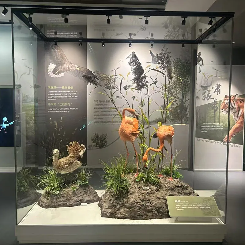 Музейная витрина-Отдельно стоящая витрина 2