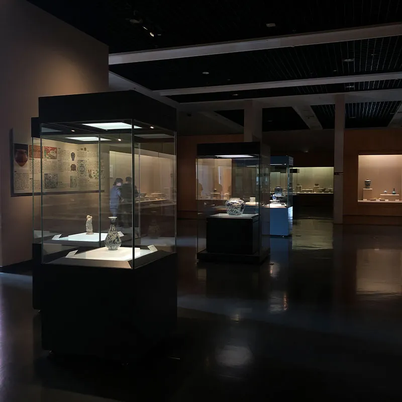 Музейная витрина-Отдельно стоящая витрина 3