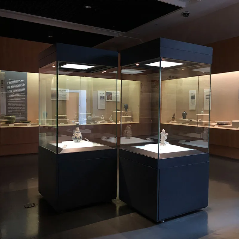 Музейная витрина-Отдельно стоящая витрина 3