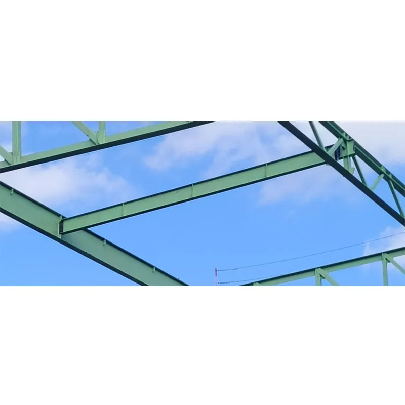 Основные несущие стальные элементы3