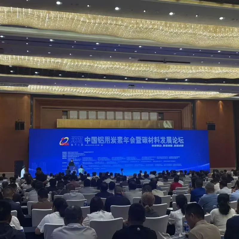 Хэ Янькуй выступил с основным докладом на 17-м Ежегодном собрании Китайской алюминиево-углеродной промышленности и Форуме по развитию углеродных материалов
