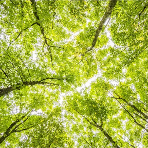 Воздушные фильтры марки CleanFiber : Очистка во...