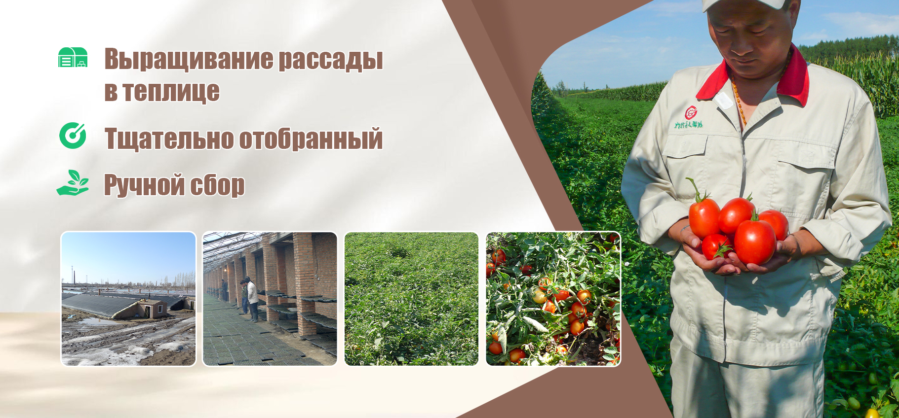 Тайский сладко-острый соус-banner1 (1)