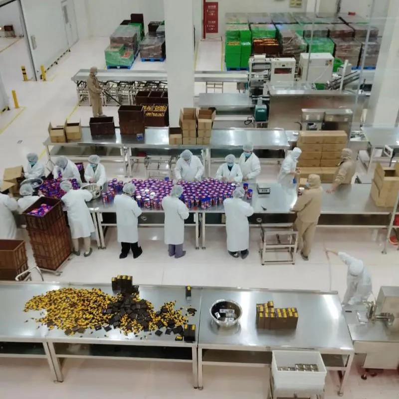 Мир шоколада: полный анализ от сырья до применения