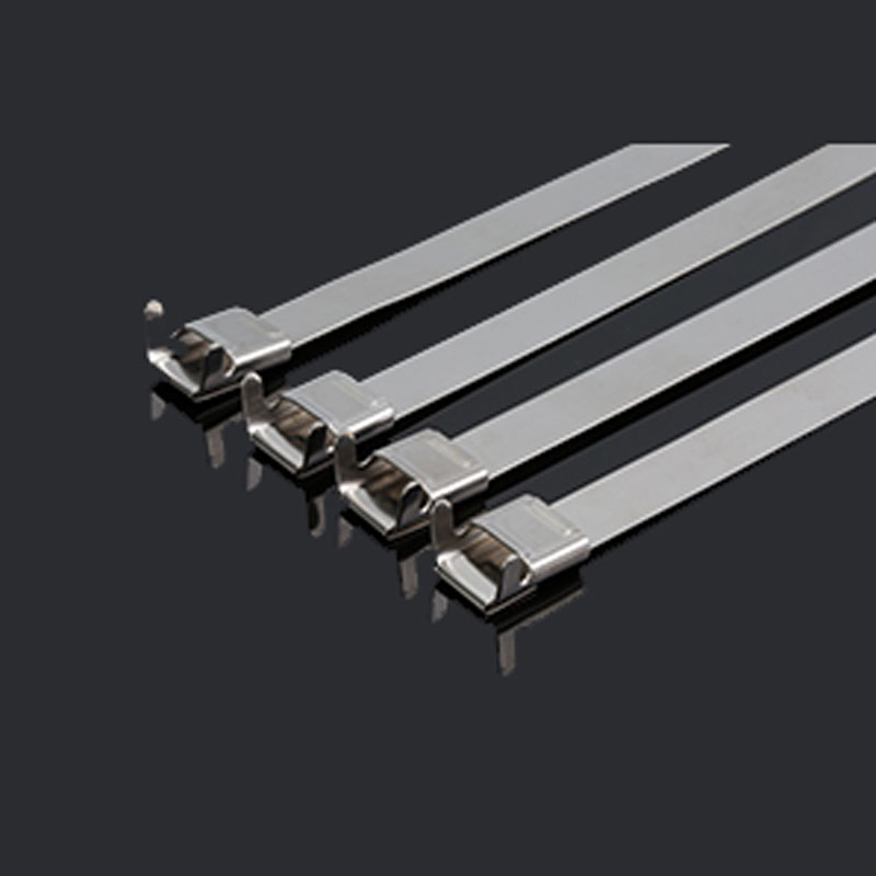 С L-образной пряжкой стяжка в ленте из нержавеющей стали неокрашенная TSL