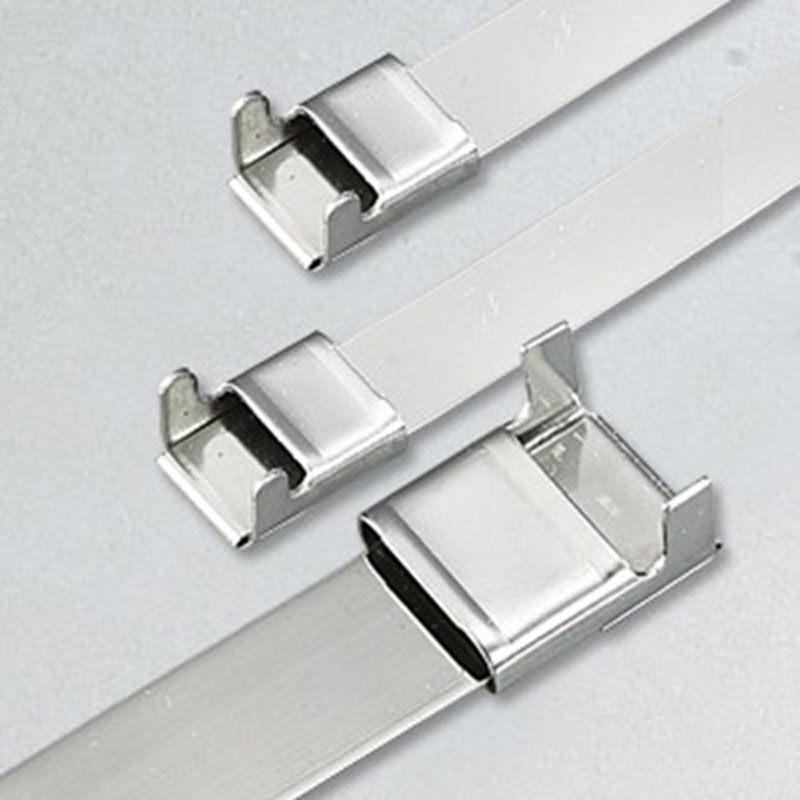 С L-образной пряжкой стяжка в ленте из нержавеющей стали неокрашенная TSL
