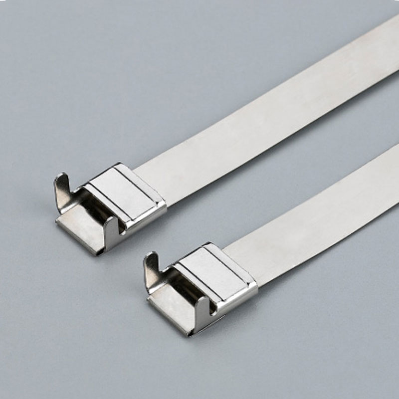 С L-образной пряжкой стяжка в ленте из нержавеющей стали неокрашенная TSL