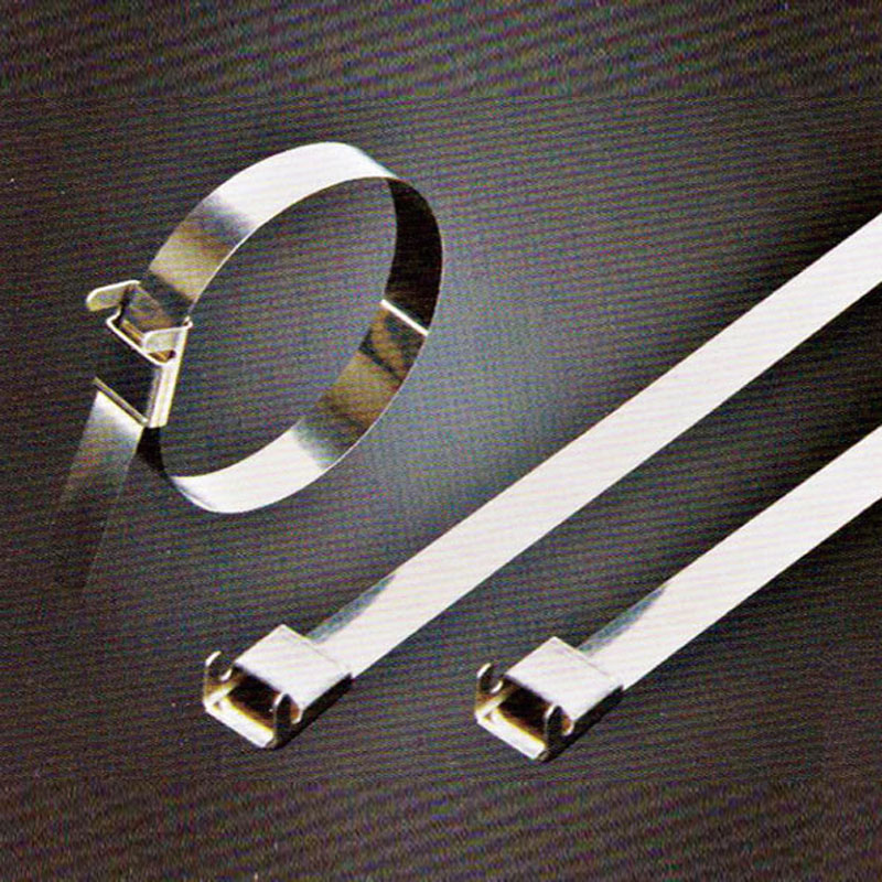 С L-образной пряжкой стяжка в ленте из нержавеющей стали неокрашенная TSL