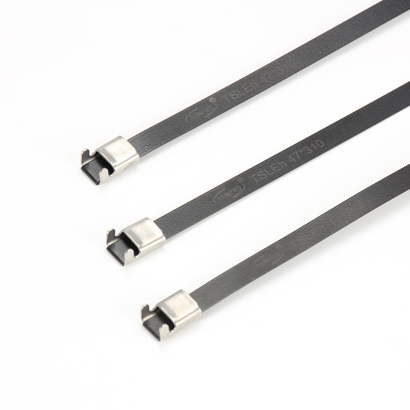 С L-образной пряжкой стяжка в ленте из нержавеющей стали с эпоксидным покрытием TSLE