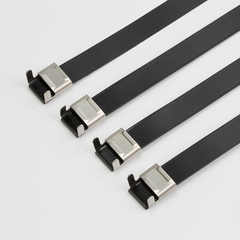 С L-образной пряжкой стяжка в ленте из нержавеющей стали с эпоксидным покрытием TSLE