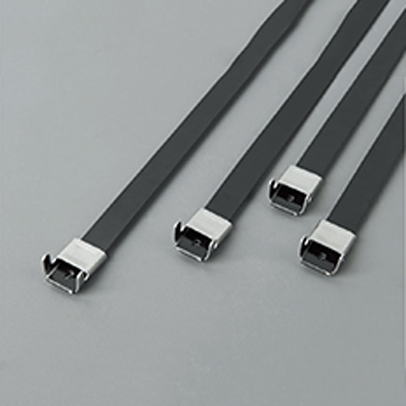 С L-образной пряжкой стяжка в ленте из нержавеющей стали с эпоксидным покрытием TSLE