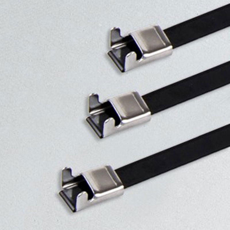 С L-образной пряжкой стяжка в ленте из нержавеющей стали с эпоксидным покрытием TSLE