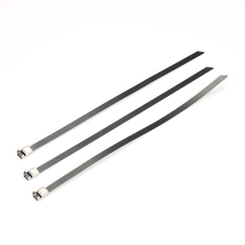 С L-образной пряжкой стяжка в ленте из нержавеющей стали с эпоксидным покрытием TSLE