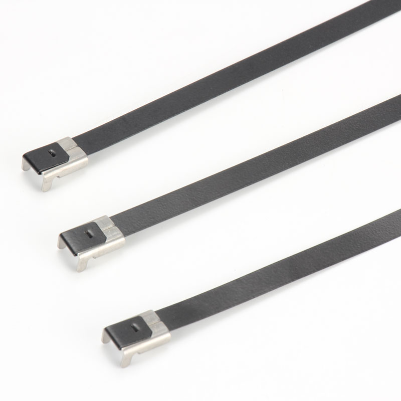 С L-образной пряжкой стяжка в ленте из нержавеющей стали с эпоксидным покрытием TSLE