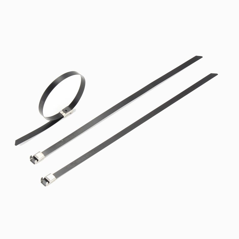 С L-образной пряжкой стяжка в ленте из нержавеющей стали с эпоксидным покрытием TSLE