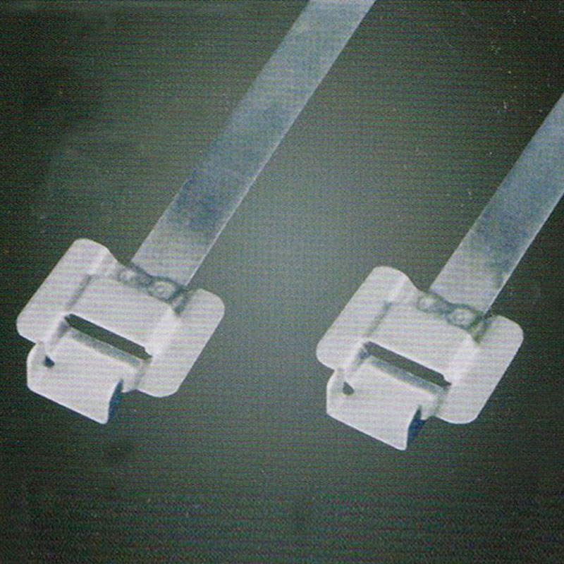 С зубчатой пряжкой стяжка в ленте из нержавеющей стали неокрашенная TSD