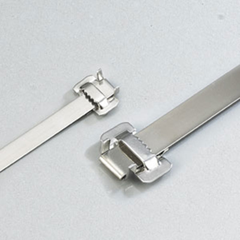 С зубчатой пряжкой стяжка в ленте из нержавеющей стали неокрашенная TSD