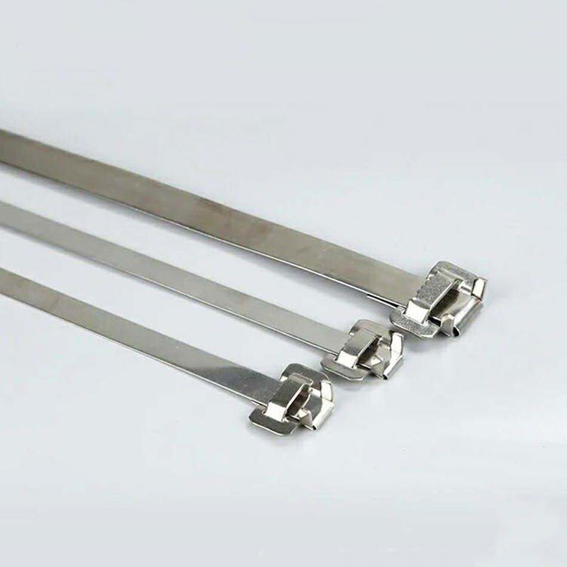 С зубчатой пряжкой стяжка в ленте из нержавеющей стали неокрашенная TSD