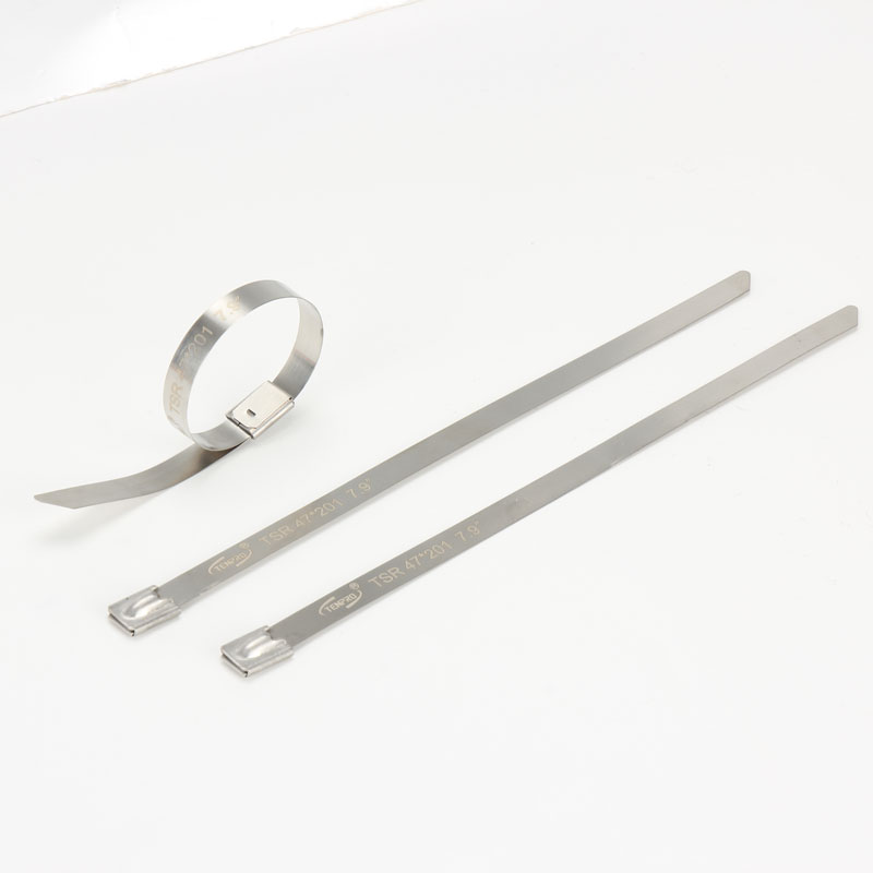 С роликовым самоблокирующимся замком стяжка в ленте из нержавеющей стали неокрашенная TSR