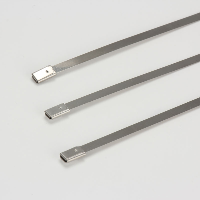 С роликовым самоблокирующимся замком стяжка в ленте из нержавеющей стали неокрашенная TSR