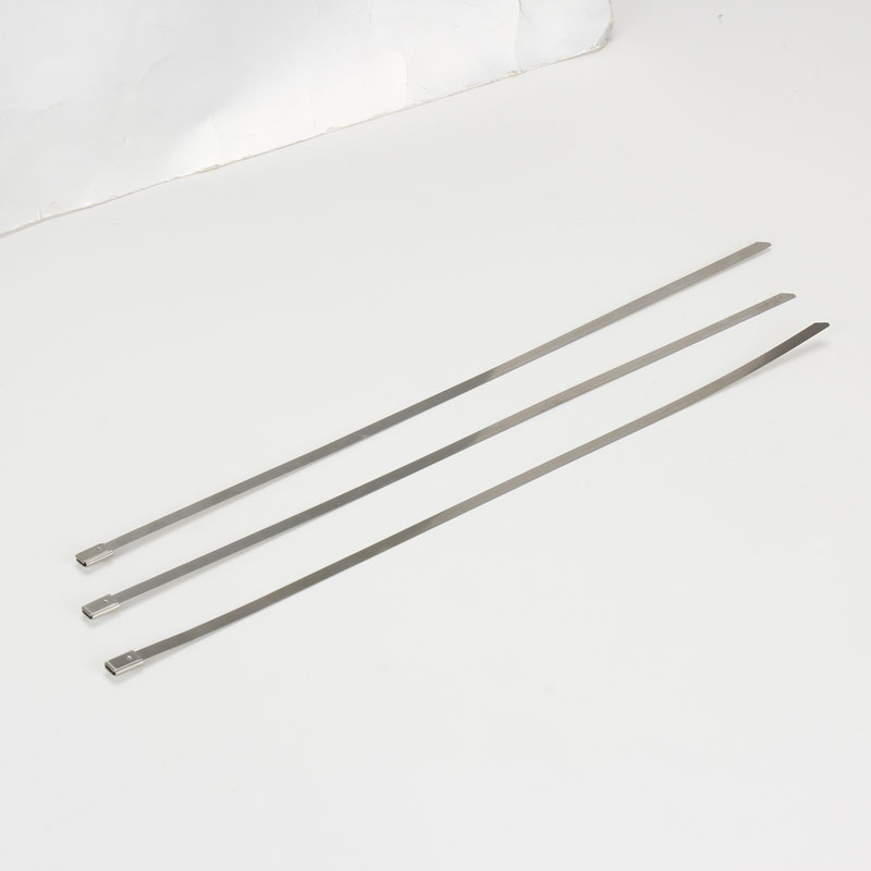 С роликовым самоблокирующимся замком стяжка в ленте из нержавеющей стали неокрашенная TSR