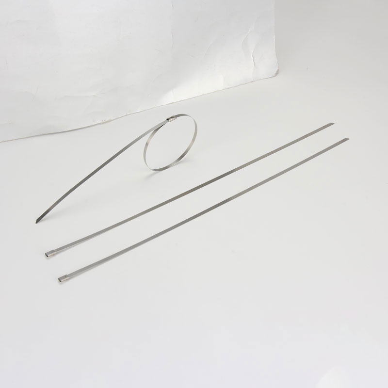 С роликовым самоблокирующимся замком стяжка в ленте из нержавеющей стали неокрашенная TSR