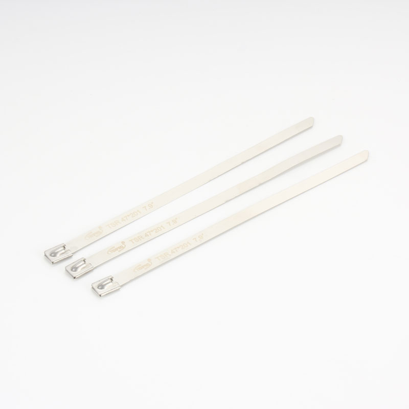 С роликовым самоблокирующимся замком стяжка в ленте из нержавеющей стали неокрашенная TSR