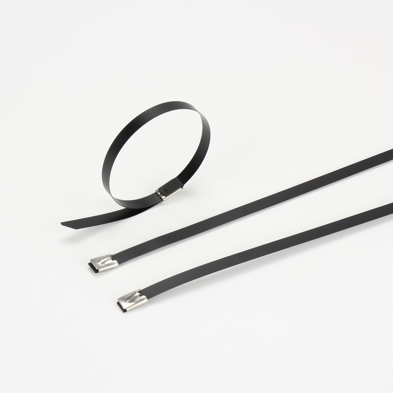 С роликовым самоблокирующимся замком стяжка в ленте из нержавеющей стали с эпоксидным покрытием TSRE