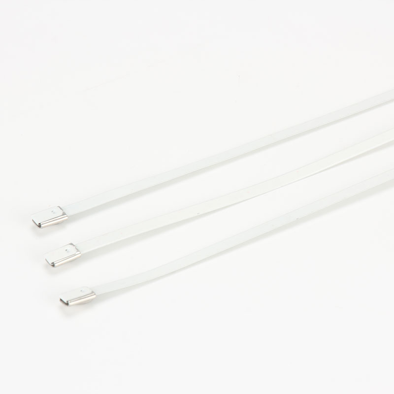 С роликовым самоблокирующимся замком стяжка в ленте из нержавеющей стали с эпоксидным покрытием TSRE