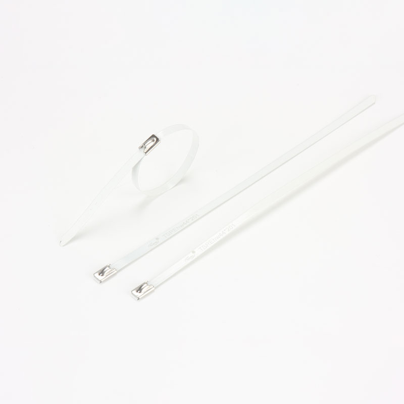 С роликовым самоблокирующимся замком стяжка в ленте из нержавеющей стали с эпоксидным покрытием TSRE