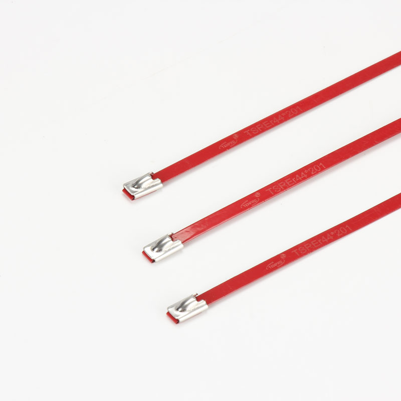 С роликовым самоблокирующимся замком стяжка в ленте из нержавеющей стали с эпоксидным покрытием TSRE