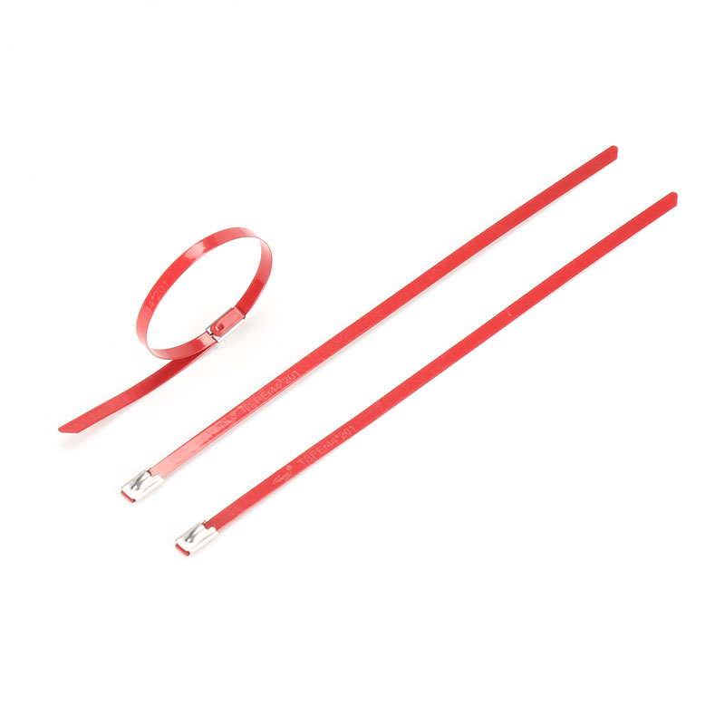 С роликовым самоблокирующимся замком стяжка в ленте из нержавеющей стали с эпоксидным покрытием TSRE