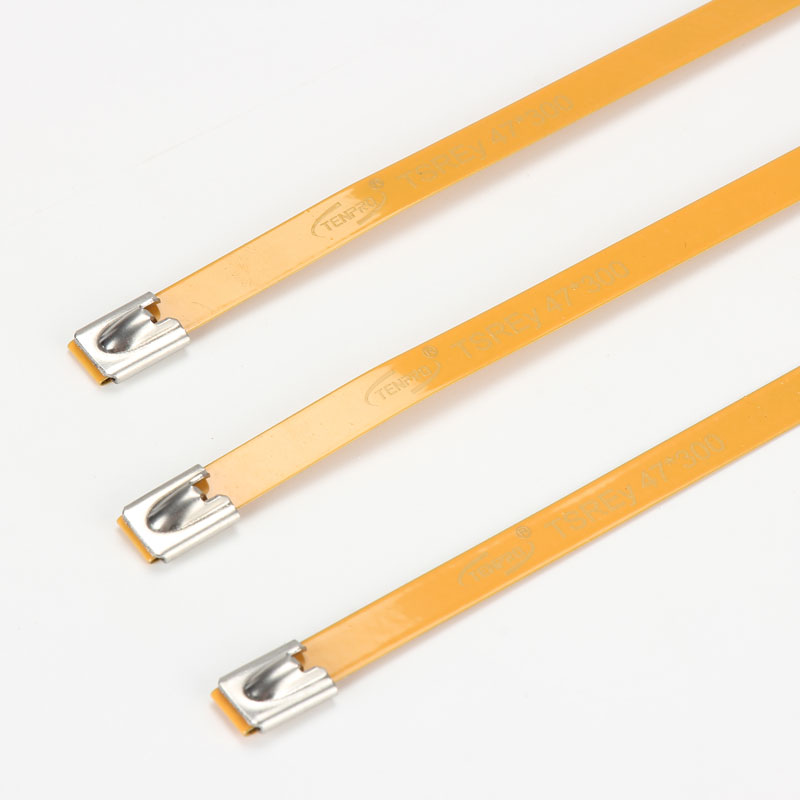 С роликовым самоблокирующимся замком стяжка в ленте из нержавеющей стали с эпоксидным покрытием TSRE