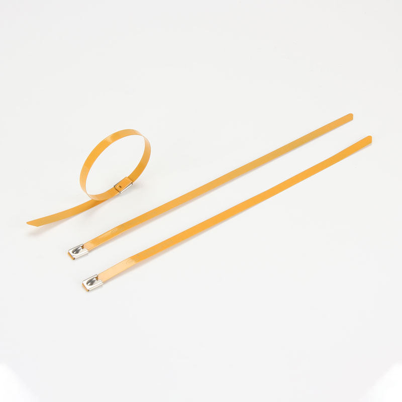 С роликовым самоблокирующимся замком стяжка в ленте из нержавеющей стали с эпоксидным покрытием TSRE