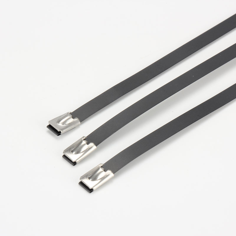 С роликовым самоблокирующимся замком стяжка в ленте из нержавеющей стали с эпоксидным покрытием TSRE