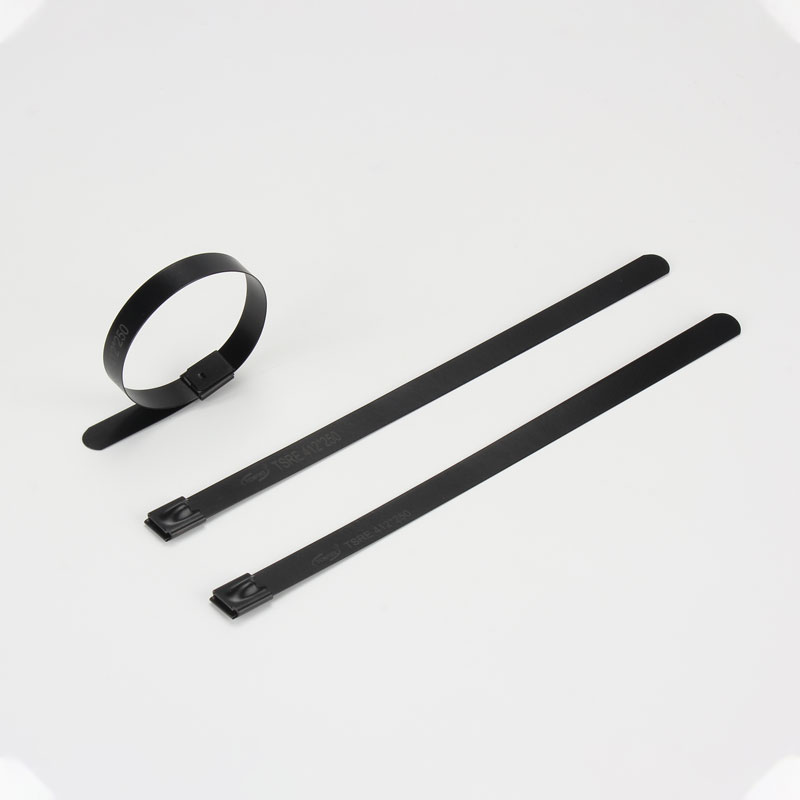 С роликовым самоблокирующимся замком стяжка в ленте из нержавеющей стали с эпоксидным покрытием TSRE