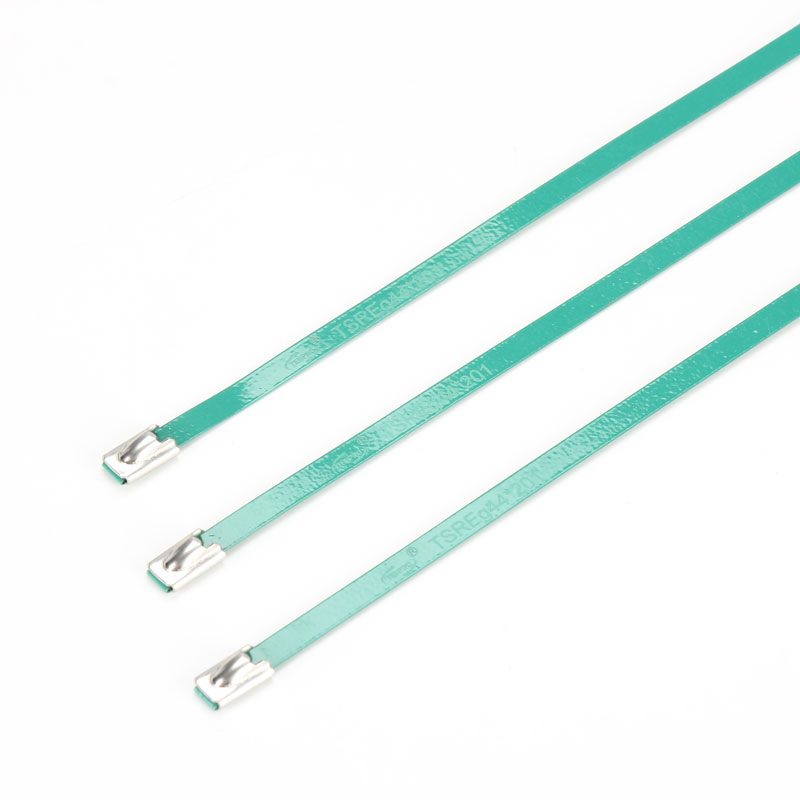 С роликовым самоблокирующимся замком стяжка в ленте из нержавеющей стали с эпоксидным покрытием TSRE