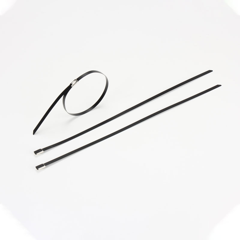 С роликовым самоблокирующимся замком стяжка в ленте из нержавеющей стали с эпоксидным покрытием TSRE