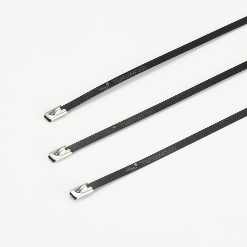 С роликовым самоблокирующимся замком стяжка в ленте из нержавеющей стали с эпоксидным покрытием TSRE