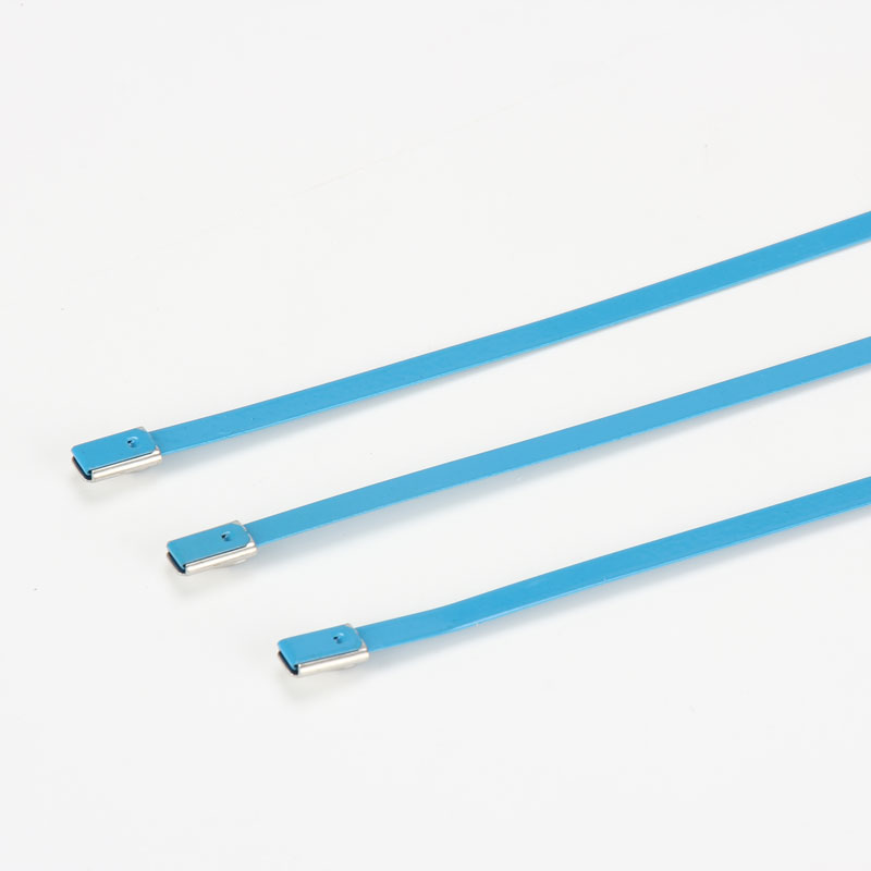 С роликовым самоблокирующимся замком стяжка в ленте из нержавеющей стали с эпоксидным покрытием TSRE