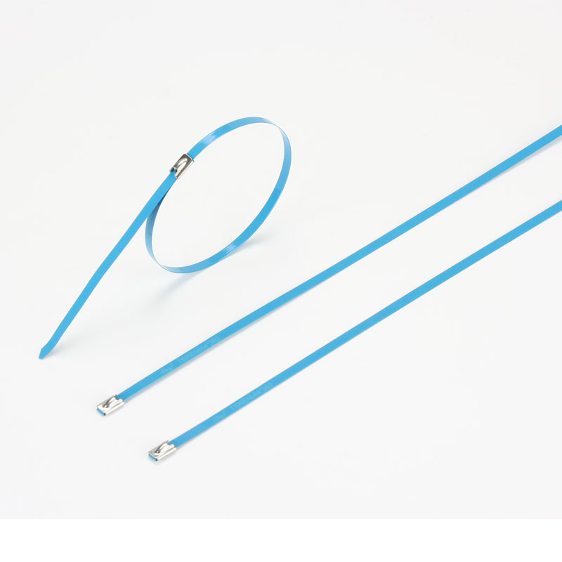 С роликовым самоблокирующимся замком стяжка в ленте из нержавеющей стали с эпоксидным покрытием TSRE