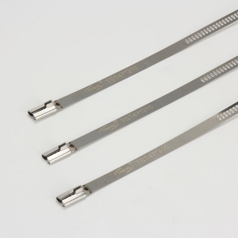 Стяжка в ленте из нержавеющей стали лестничного типа неокрашенная TST