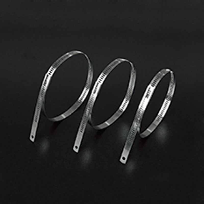 Стяжка в ленте из нержавеющей стали лестничного типа неокрашенная TST