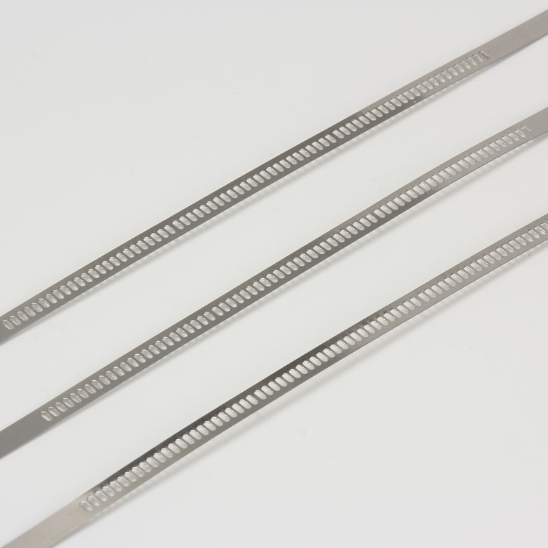 Стяжка в ленте из нержавеющей стали лестничного типа неокрашенная TST