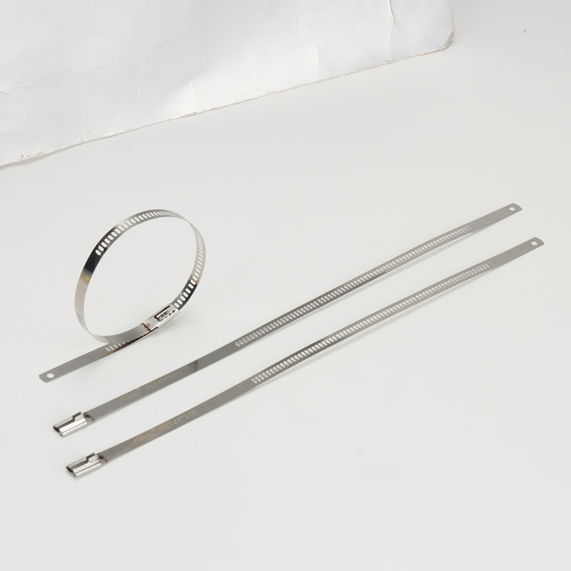 Стяжка в ленте из нержавеющей стали лестничного типа неокрашенная TST