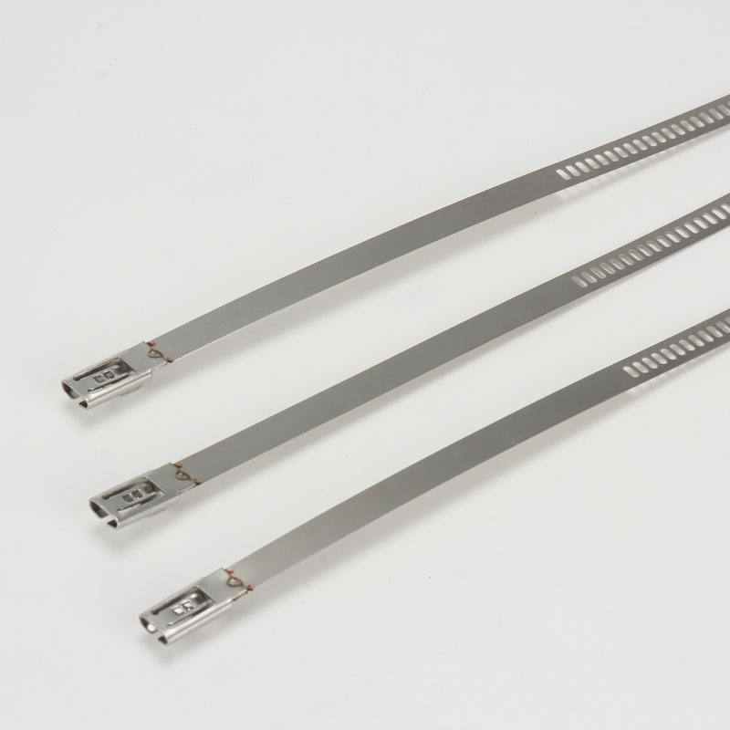 Стяжка в ленте из нержавеющей стали лестничного типа неокрашенная TST